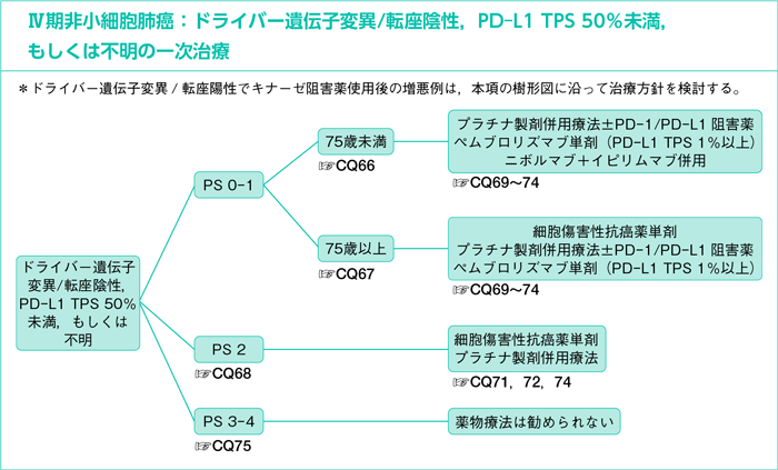 【肺がん論文紹介②】進行・術後再発肺癌治療レジメン 化学療法 免疫療法併用(9LA) | Dr.かぶイルカの生活向上委員会